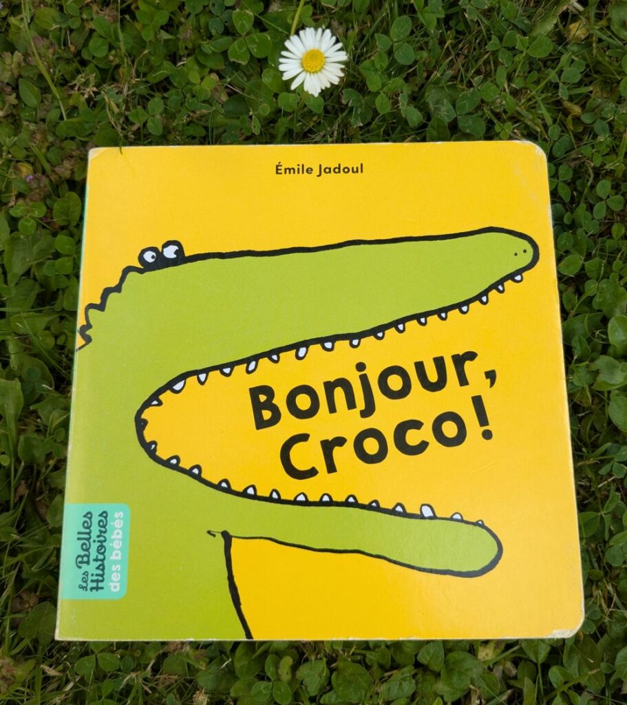 Couverture de "Bonjour Crocro"